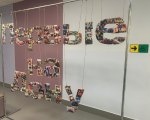 img (5)